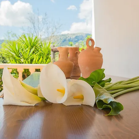 Willa Colonya Jaume-3 Bedrooms, Private Pool Near *