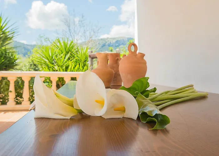 Villa Colonya Jaume-3 Bedrooms, Private Pool Near *